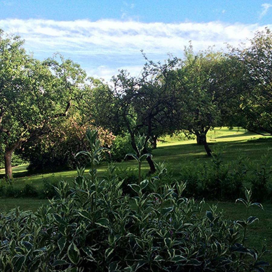 Beechfield Cottages Meopham  Luaran gambar